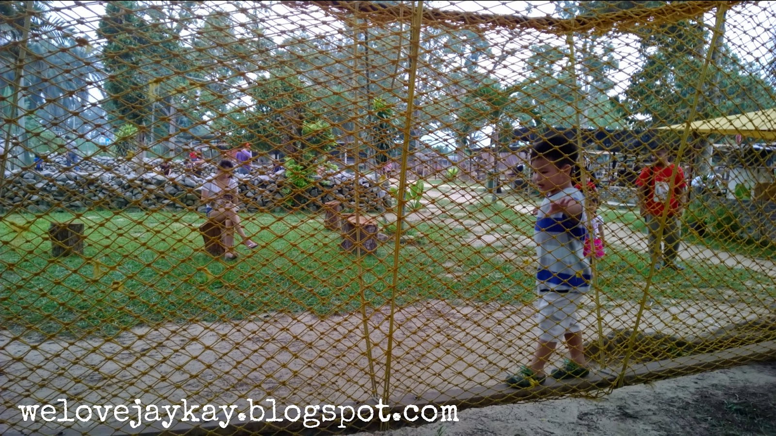 Broga Rabbit Fun Land (Rabbit Farm in Semenyih, Malaysia) 马来西亚兔子乐园